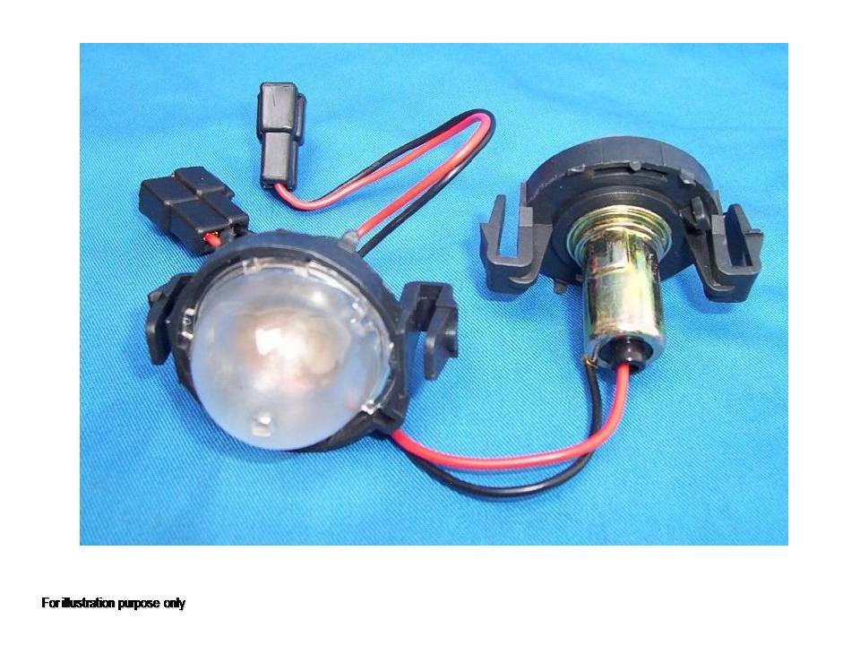 License Lamp